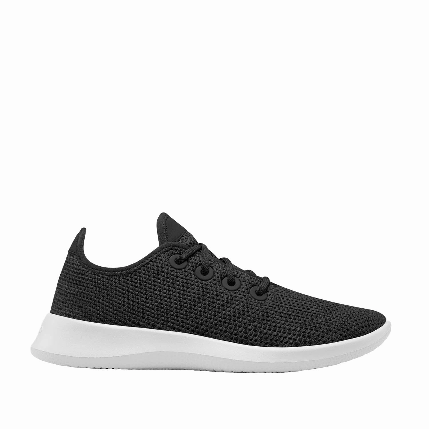 Allbirds Women's Tree Runner Warm Season
