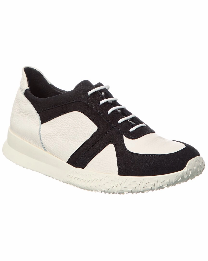 Classy Fit Arche Andzao Leather Sneaker