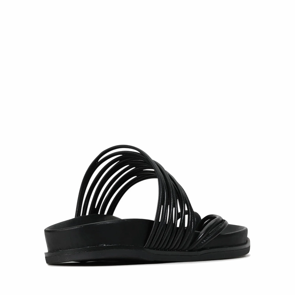 Classic Footwear Pool Wear EOS Women's Carmella Toe Loop Sandal in Black