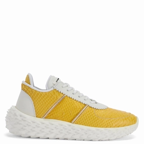 Ortholite insole Giuseppe Zanotti Urchin