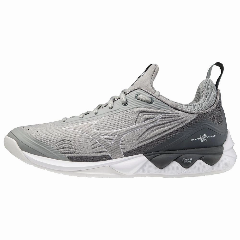 Mizuno Wave Luminous 2 Women's Volleyball Shoe Gym Play