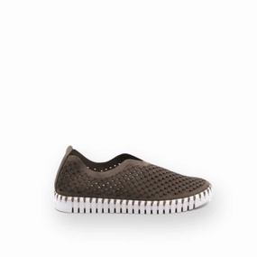 Women's Flats Falcon Shoe In Brown Woven Upper Technology